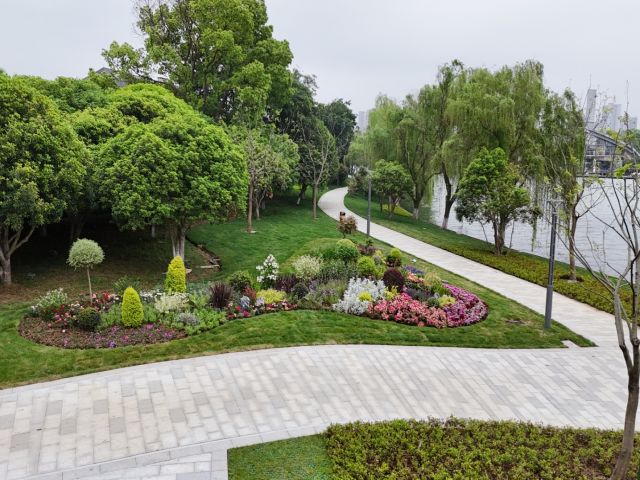 精品工程：金鸡湖环湖路花境