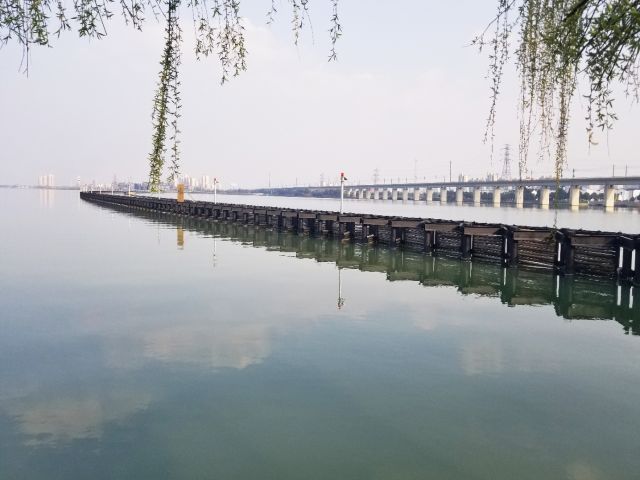 精品工程：金鸡湖消浪桩